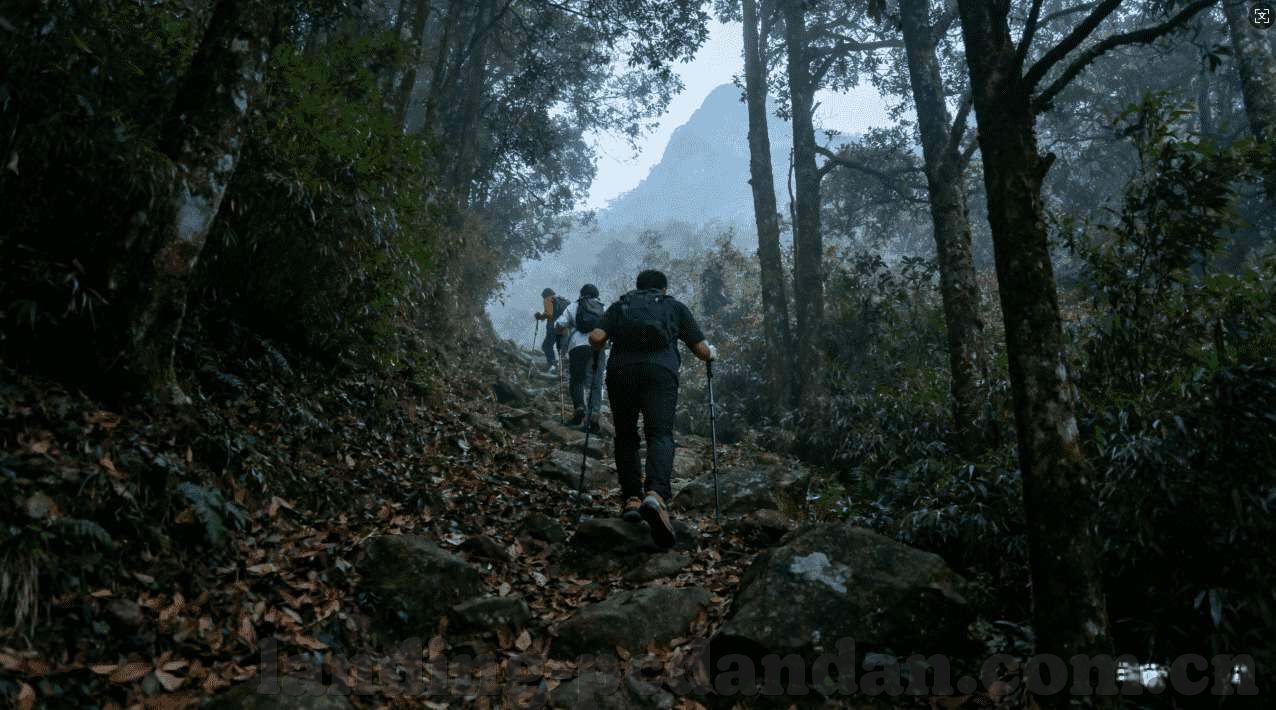 永盈彩票 - 首页-永盈彩票，打造安全、诚信、便捷的在线购彩平台