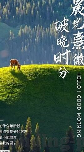 炸金花中什么叫金花-炸金花中的金花，一场智慧与运气的博弈